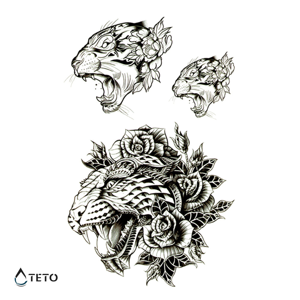 Tigre y león - set