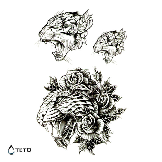 Tigre y león - set