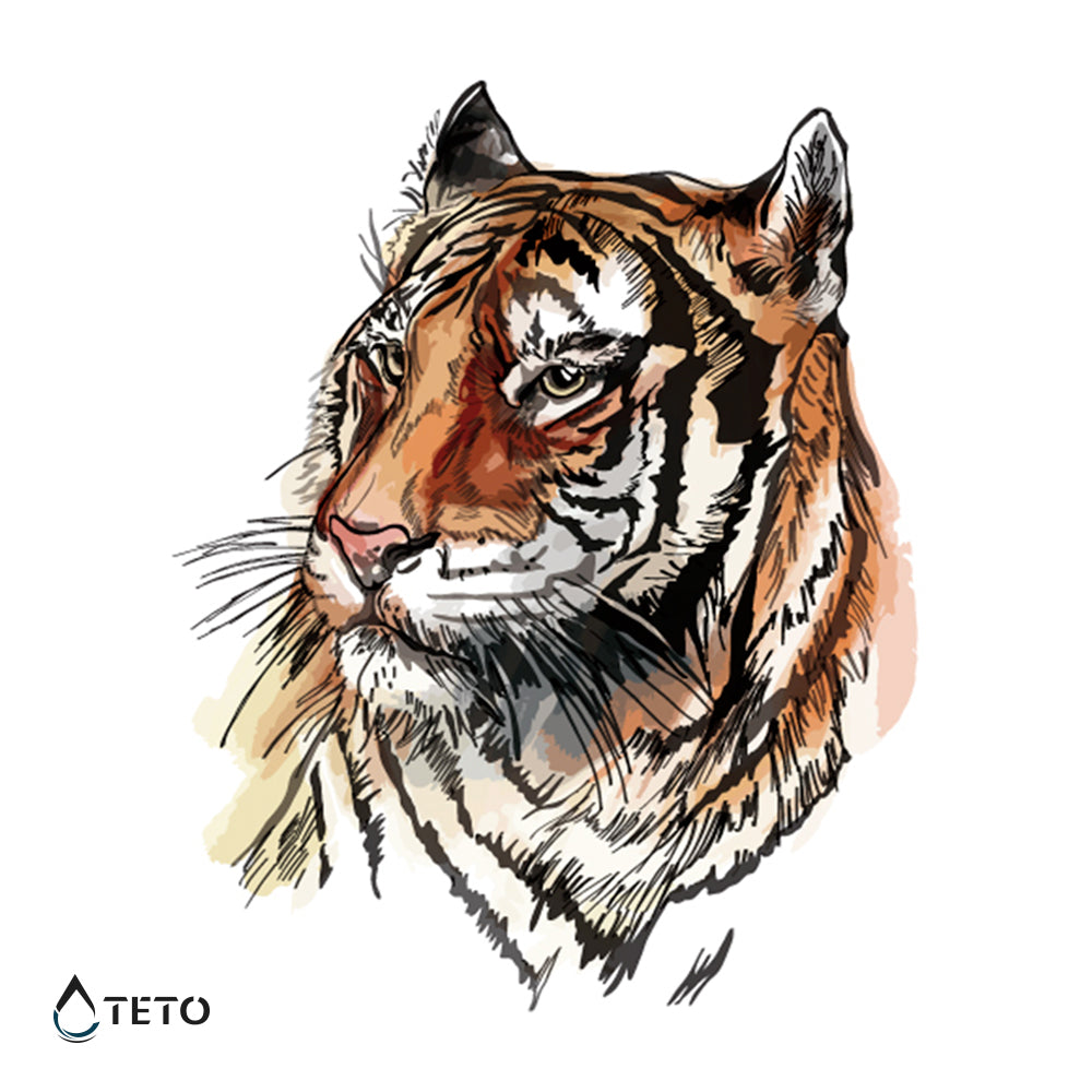 Tigre dibujado