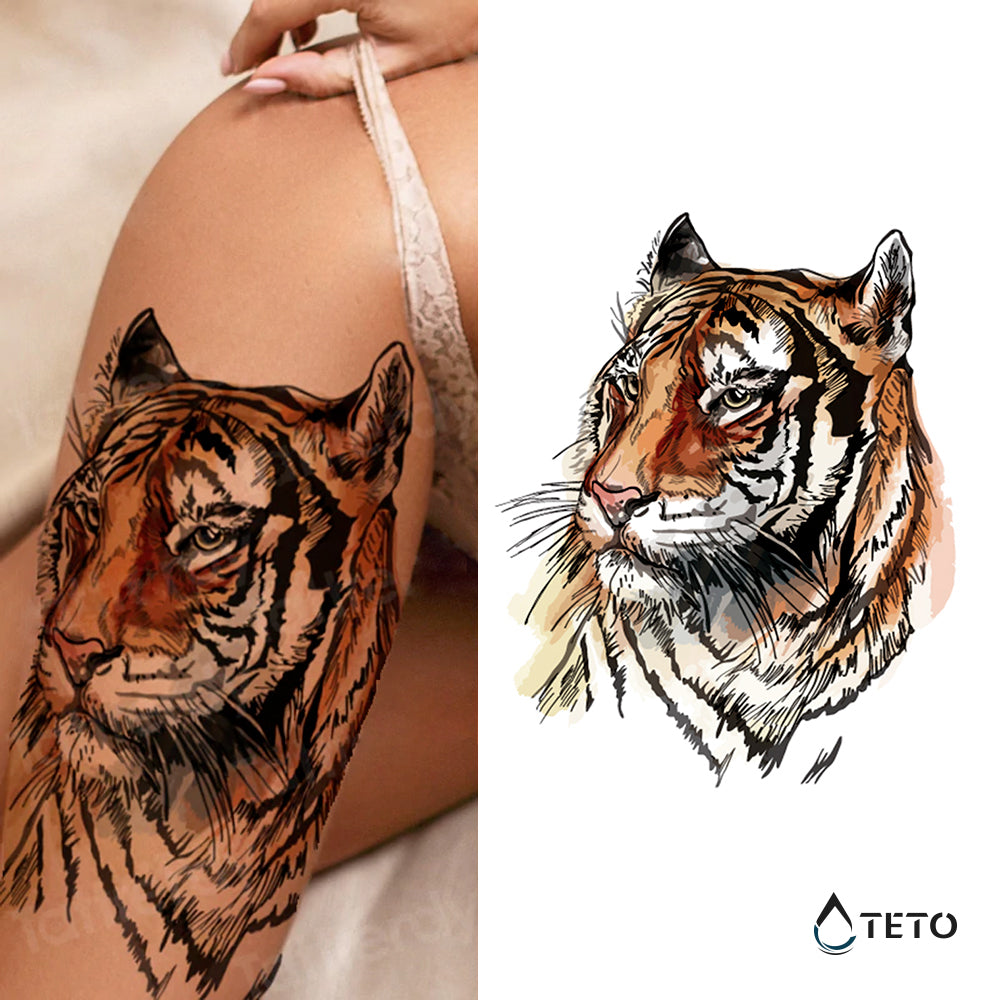 Tigre dibujado