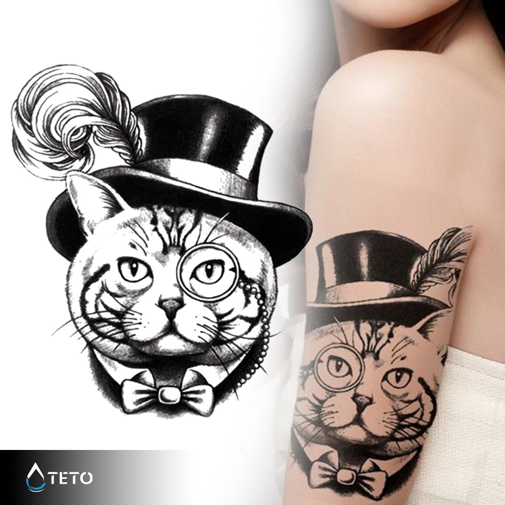 Gato elegante
