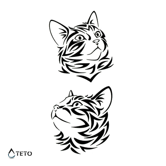 Gato atigrado – set