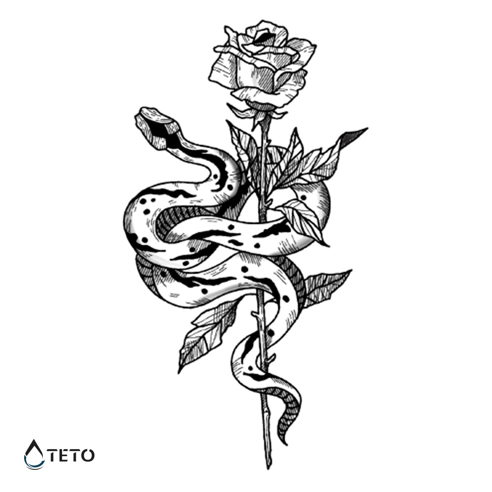 Serpiente con una rosa