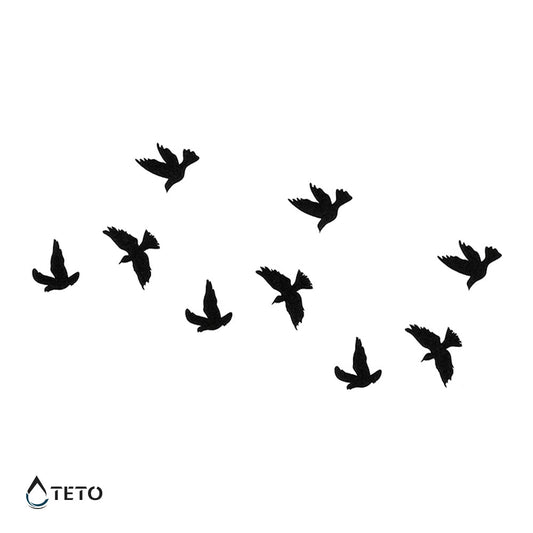 Aves en vuelo - set