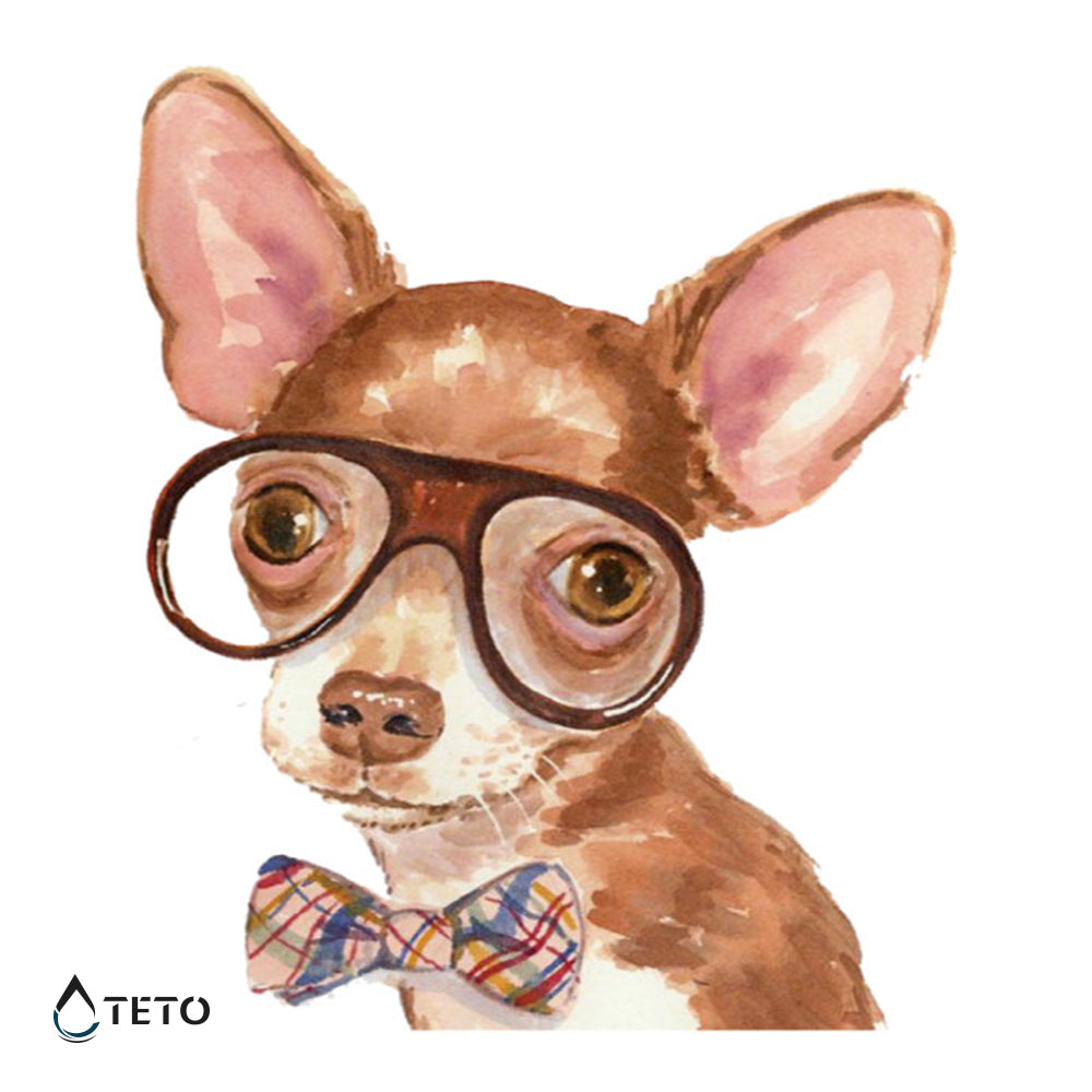 Chihuahua