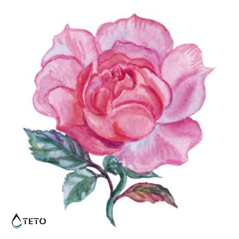 Rosa mini