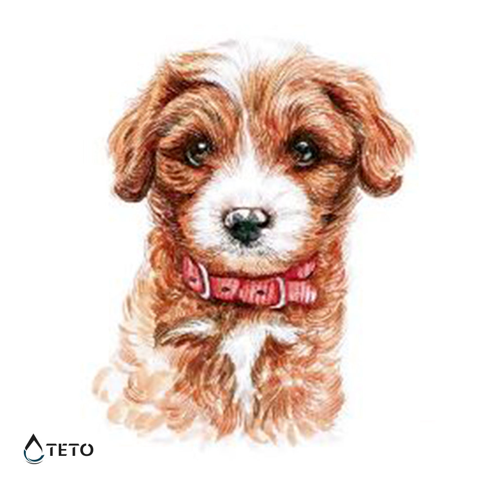 Perro adorable