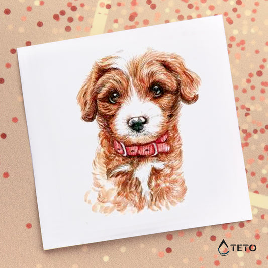 Perro adorable