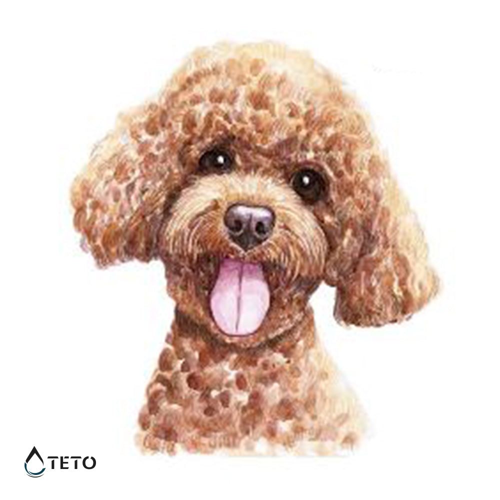 Poodle