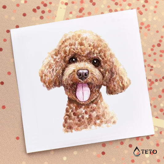 Poodle