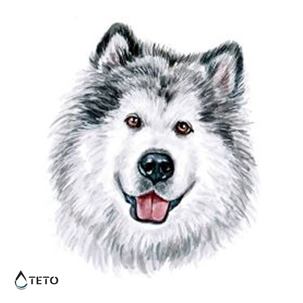 Perro Husky Siberiano