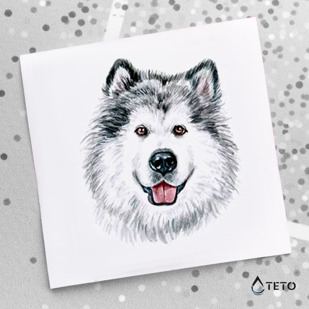 Perro Husky Siberiano