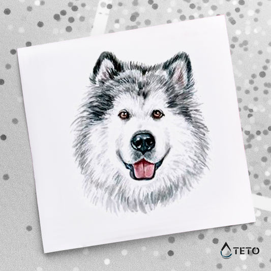 Perro Husky Siberiano