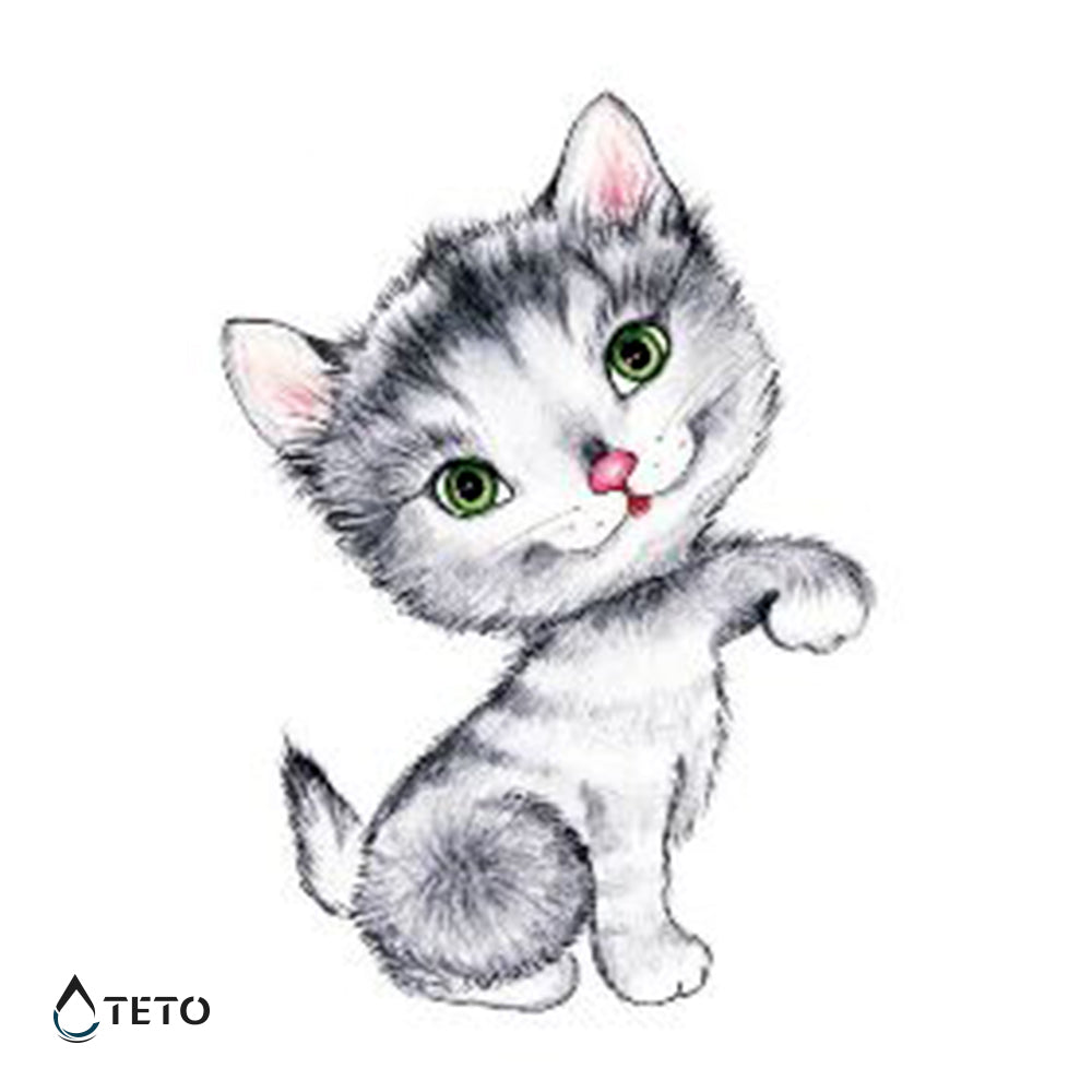 Gato adorable