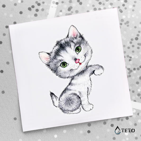 Gato adorable