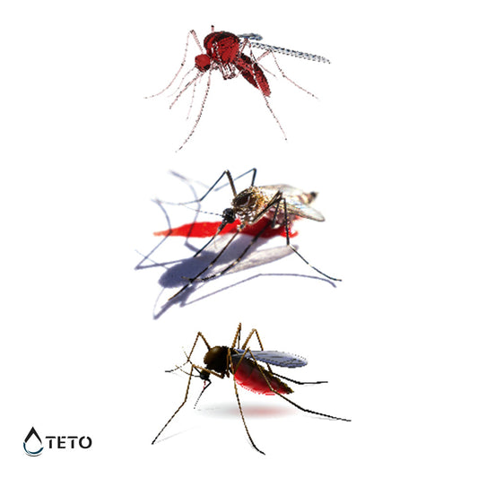 Mosquitos 3D - set