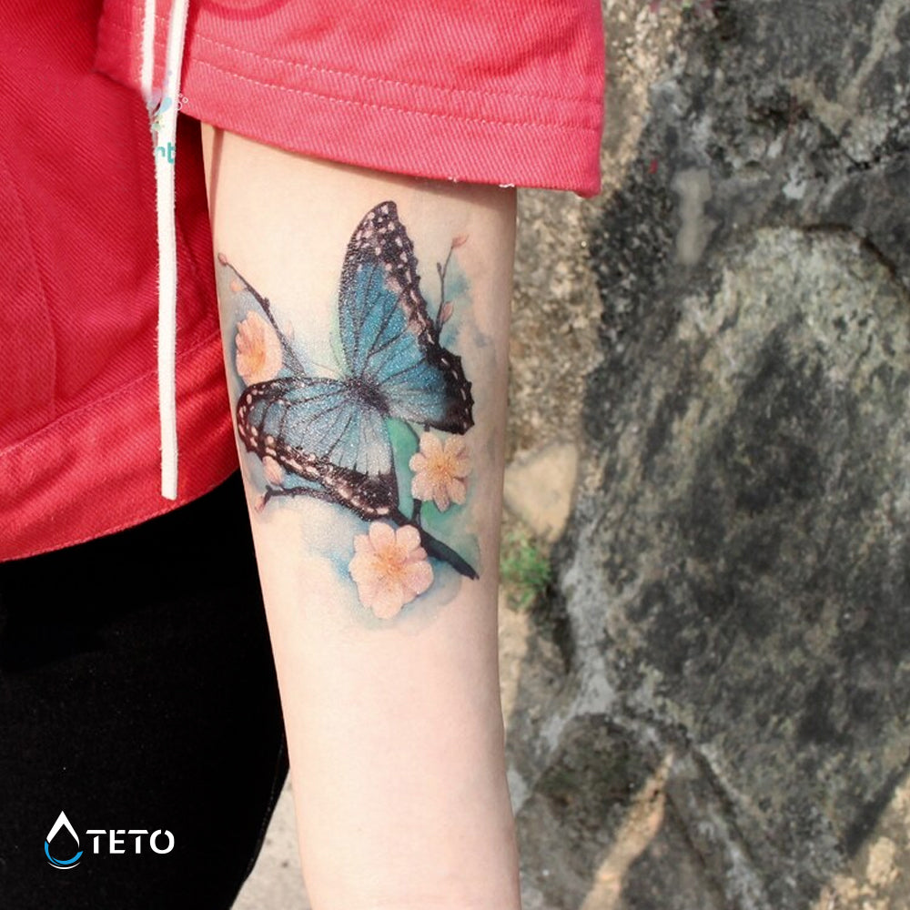 Mariposa – Escarchados
