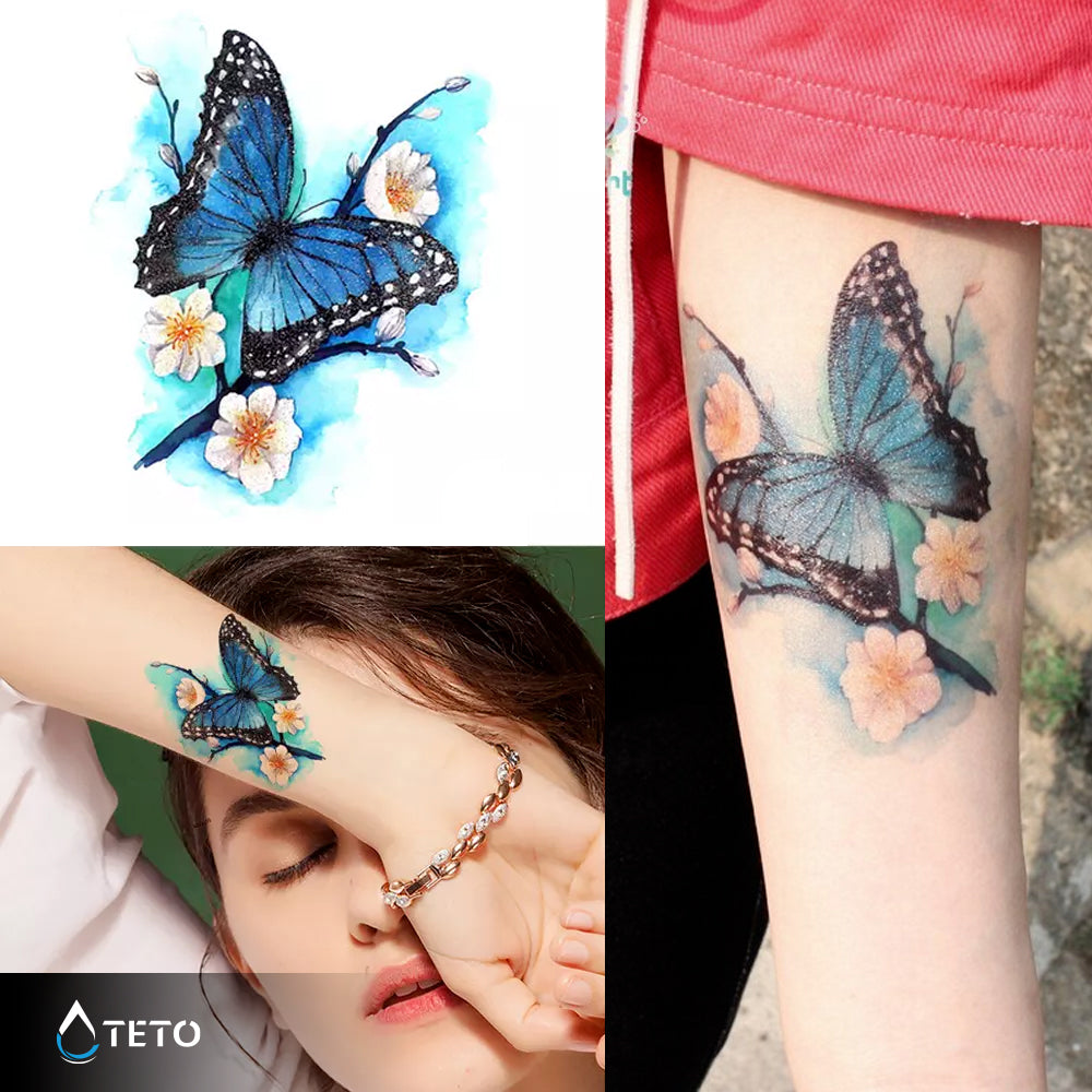 Mariposa – Escarchados