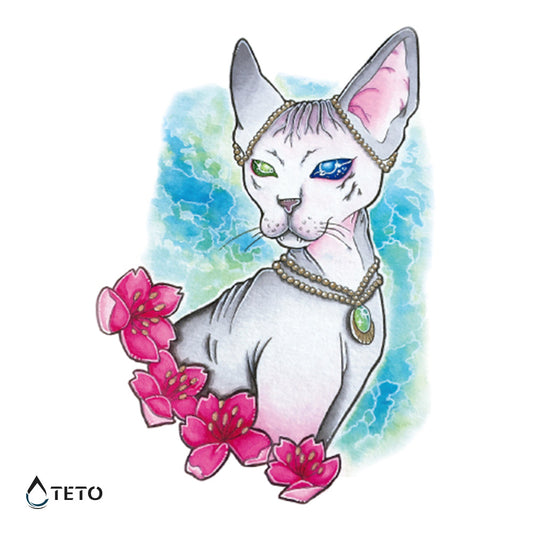 Gato esfinge