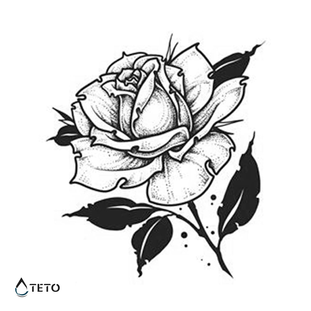 Rosa blanca