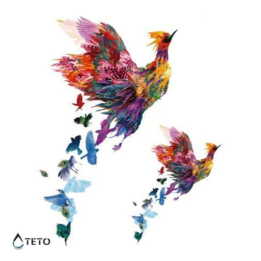 Pájaro - set