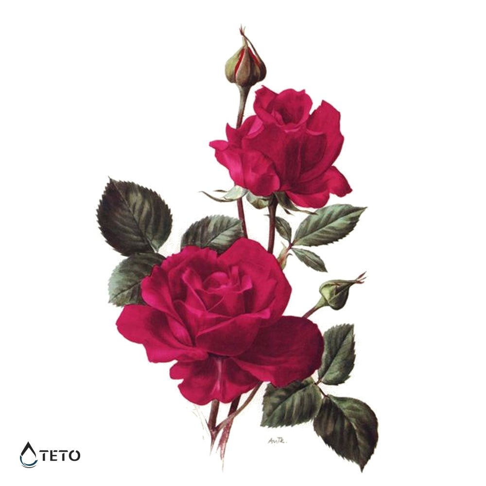 Rosas rojas