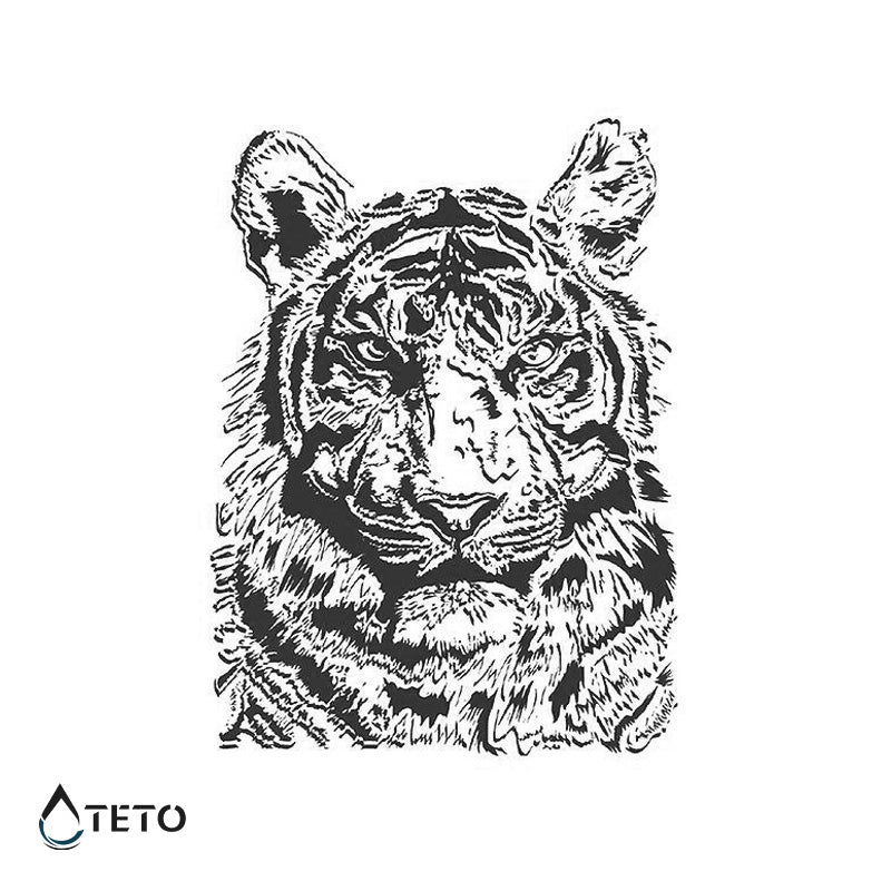 Tigre gris – Semipermanente
