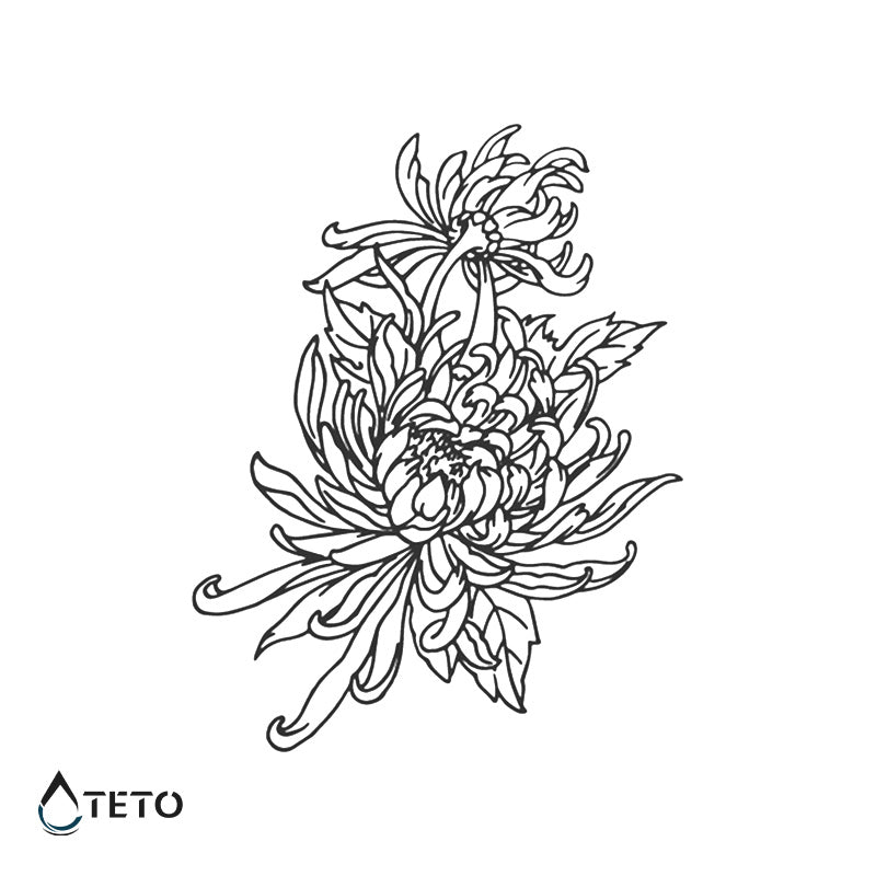 Crisantemo – Semipermanente