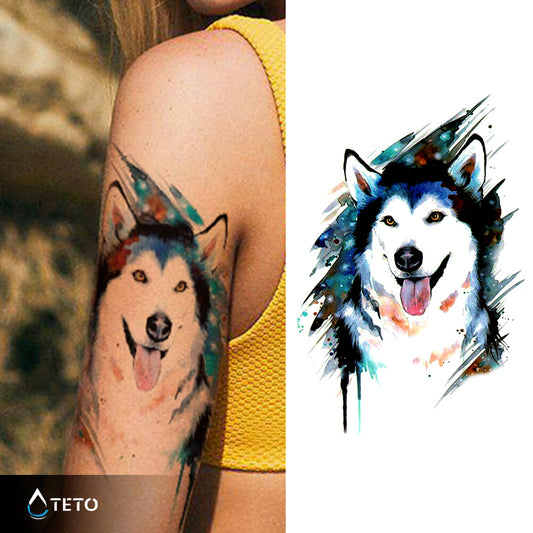 Perro Husky
