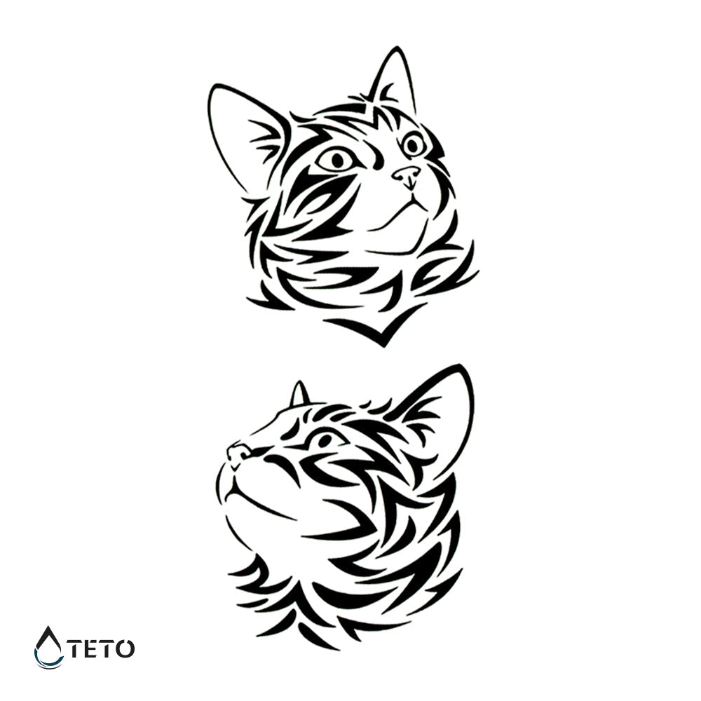 Gato atigrado – set